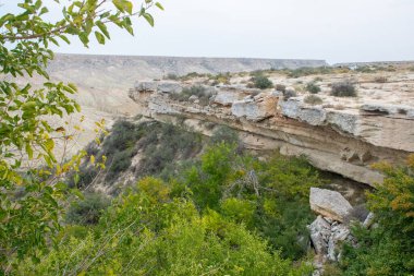 Mangysrau çölündeki yeşil dağ kanyonu, Aktau bölgesi, Kazakistan.