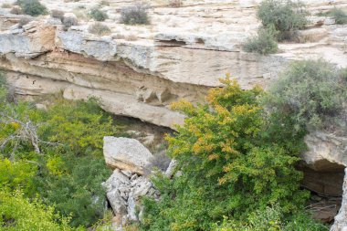 Mangysrau çölündeki yeşil dağ kanyonu, Aktau bölgesi, Kazakistan.