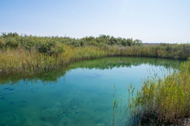 Ustyurt platosundaki su vahası. Kazakistan Çölü, Aktau Bölgesi.