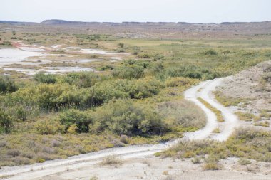 Gündüz çöl manzarası manzarası