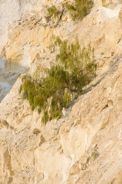 Schöne Berglandschaft Bei Tag — Stockfoto