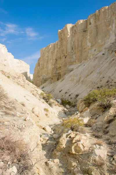 ボッシラ山渓谷 高原Ustyultで岩やチンクをピーク カザフスタン砂漠 アクタウ地域 — ストック写真