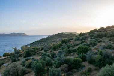 Deniz kıyısının güzel manzarası