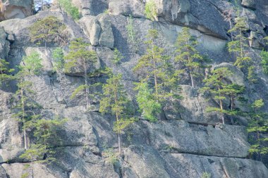 Mavi gökyüzü arkaplanındaki güzel dağ manzarası