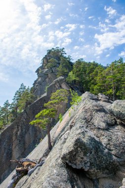 Burabay Ulusal Parkı 'ndaki yeşil kayalık dağlar, Orta Kazakistan