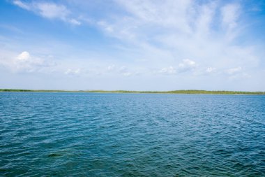 Yazın güzel göl manzarası
