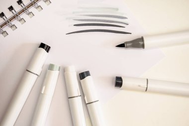 Alkol esaslı taslak, kopik stil işaretleyiciler çiziyor. Ressamlar ve grafik tasarımcıları için fırça ve keski çift uçlu. Gri renkler