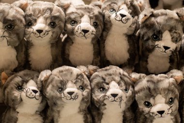 Bir sürü tüylü kedi pelüş yumuşak oyuncakları üst üste yığar.