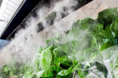 Süper işaretli yerde taze salata. Mini başlıklardan püskürtülmüş sisli su daha çekici olsun diye..