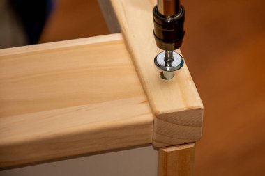 Tamirci, tahta sandalyeyi tornavidayla birleştiriyor. Tamir ve onarım. Uyum ve kurulum. El işi ve kendin yap.