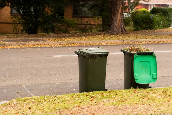 緑の庭の家庭の廃棄物のための緑の蓋付きのオーストラリアのゴミ車のビンは 評議会のごみ収集のための通りに並んでいます 廃棄物管理 — ストック写真