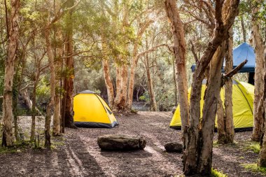 Karavan karavanı karavan parkında kamp yapıyor. Kamp gezisi aile gezisi