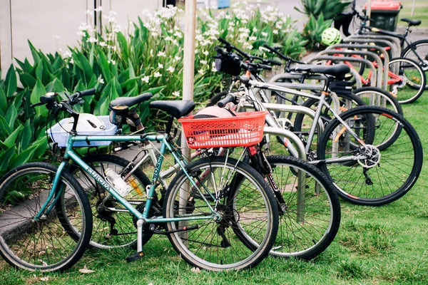 2019 Булли Австралия Многие Велосипеды Паркуются Велостоянке Траве Рекреационная Деятельность — стоковое фото