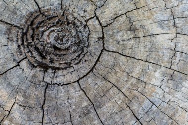 Eski ahşap doku yüzey arkaplanı.