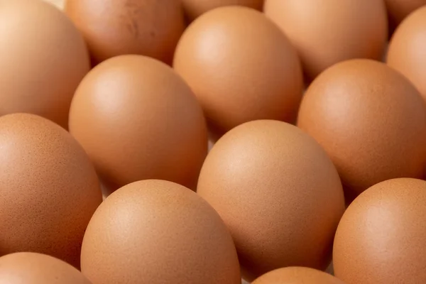 Primer Plano Huevos Pollo Marrón — Foto de Stock