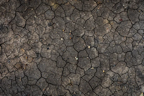 Texture Dried Cracked Earth Because Rain Drought Season — Stock Photo, Image