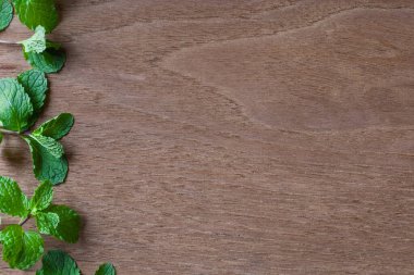 Ahşap zemin üzerinde taze nane yaprağı.