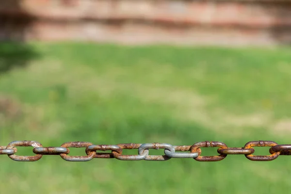 Chain Rust Green Meadow Background — Stock Photo, Image