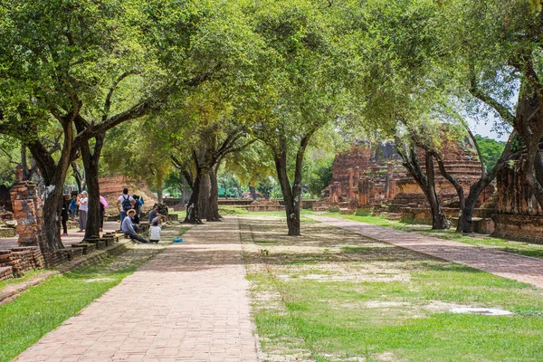 Ayuthaya Thailandia Giugno 2018 Persone Viaggiano Vecchio Tempio Nel Parco — Foto Stock