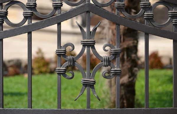 Ornamento en la puerta — Foto de Stock