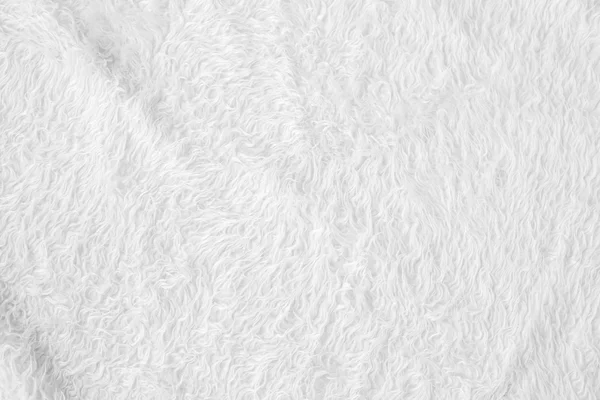 Pêlos brancos — Fotografia de Stock