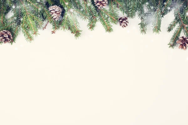 배경에는 전나무 가지와 원추체가 눈으로 꼭대기에는 풍경이 공간을 이루고 크리스마스와 — 스톡 사진