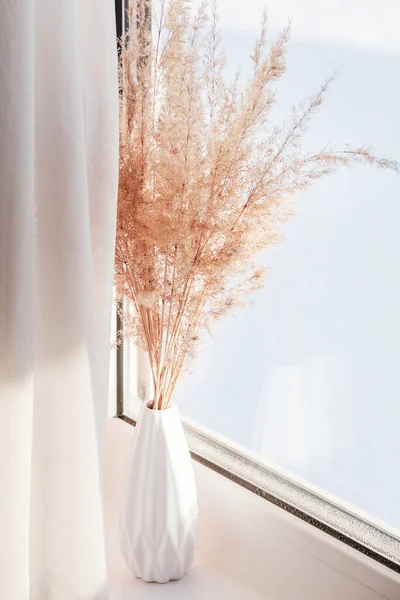 Pampas grama em vaso branco no peitoril da janela com cortinas brancas. conceito pampa minimalista. — Fotografia de Stock