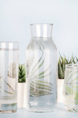 Saksıda saksıdaki bitkiler suyun içinde, bardaklarda ve mavi arka planda şişelerde bozulur. Ev dekorasyonu, çevre dostu, rahatlama konsepti