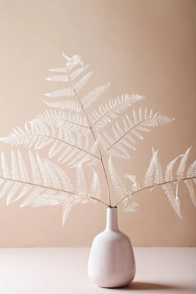 Floral composition of branch fern in vase on beige background. Botany styled. Art concept. Minimal concept background.