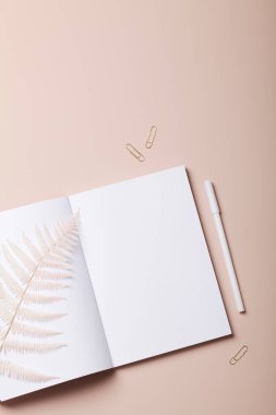  Not defteri, kalem ve eğreltiotu ile bej arka planda ofis masası çalışma alanı. Düz yatak, üst görünüm, iş, iş, model konsepti. Boşluğu kopyala.