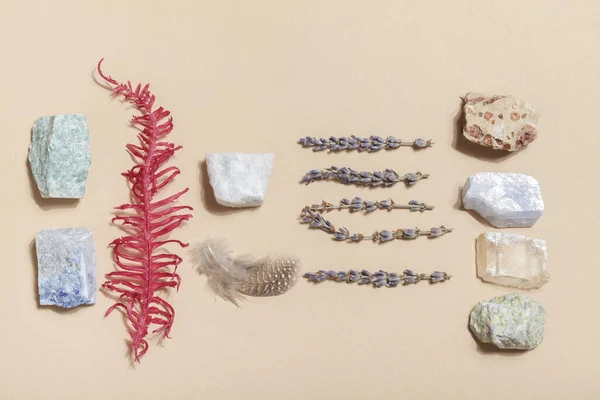 Helecho seco, lavanda y minerales cristalinos sobre fondo beige. roca mágica para ritual de cristal —  Fotos de Stock