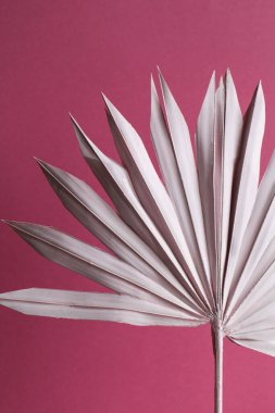 mor arkaplanda kuru pembe palmiye yaprağı.