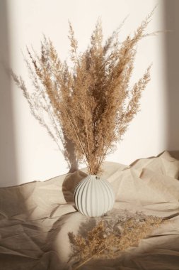 Bej arka planda vazoda otlar ve koyu gölgeli buruşmuş ketenler. doğal arkaplan. 