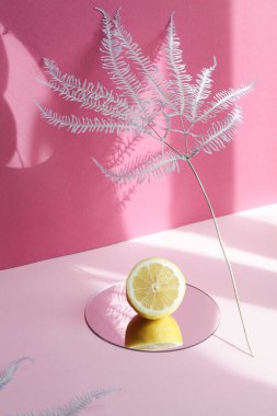 Eğreltiotu, limon ve aynanın mor arka planda keskin gölgeleri olan en az güneşli meyve kompozisyonu. 