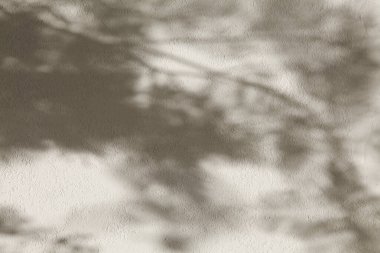  Aydınlık ve Gölgeli Doku Arkaplanı, Ürün Sunum Arkaplanı, Görünüm ve Moda İçin Uygun.