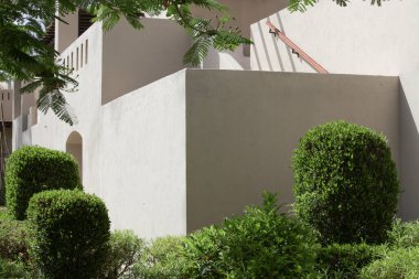 Yeşil ağaçları ve çalıları olan manzaralı güzel bir bahçe.. 