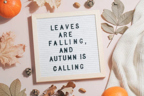 felt letter board and text leaves are falling and autumn is calling with leaves, pumpkins and sweater on beige background.Autumn concept. flat lay