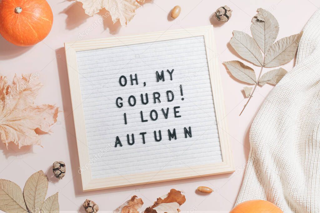 felt letter board and text oh my gourd I love autumn and leaves, pumpkins, sweater on beige background