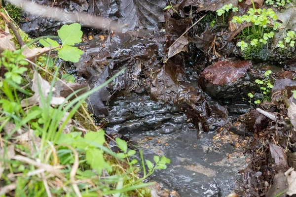 Close up Přírodní pramen vody vycházející z kopce v Nebrasce — Stock fotografie