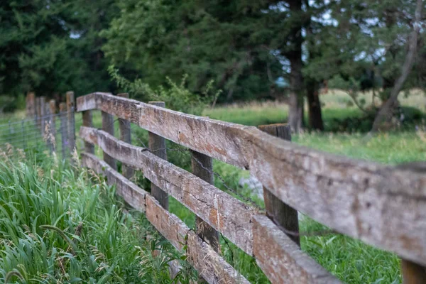 靠近牧场上的旧木制栅栏 高质量的照片 — 图库照片