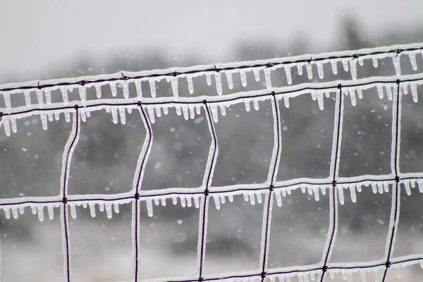 Close up of ice covers wire fence with ice icicles . High quality photo