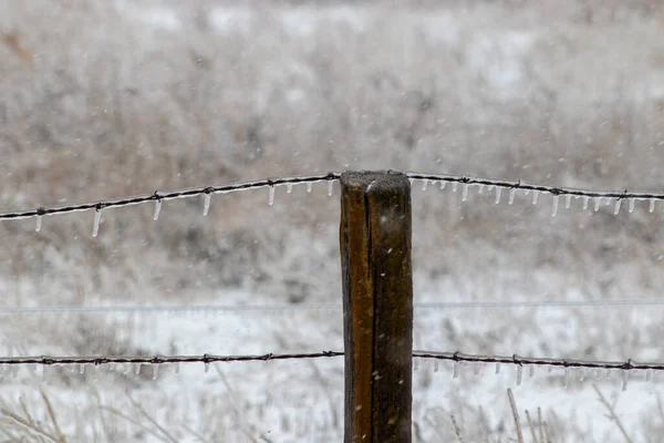 Ice covered barb wire fence and wooden post . High quality photo