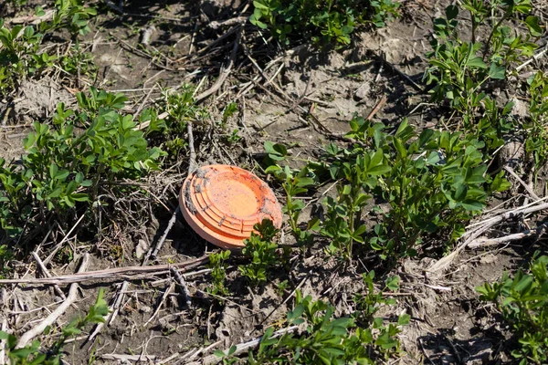 Глиняні Голуби Лежачи Полі Стріляли Високоякісна Фотографія — стокове фото