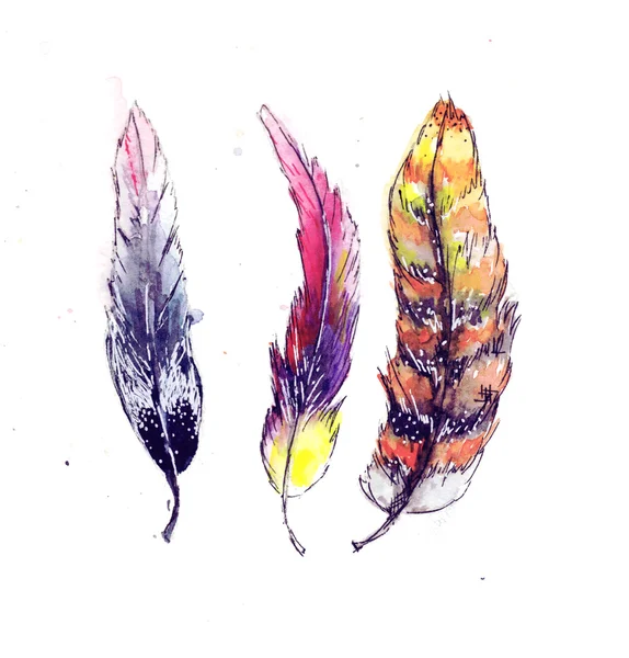Penne stilizzate ad acquerello di uccelli esotici, decorazione per cartoline — Foto Stock