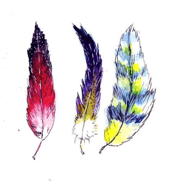 Akwarela stylizowane piór ptaków egzotycznych, ozdoba na pocztówki — Zdjęcie stockowe