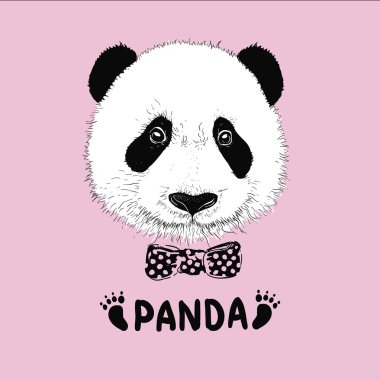 basit kayıt bir panda - tasarım şablonu