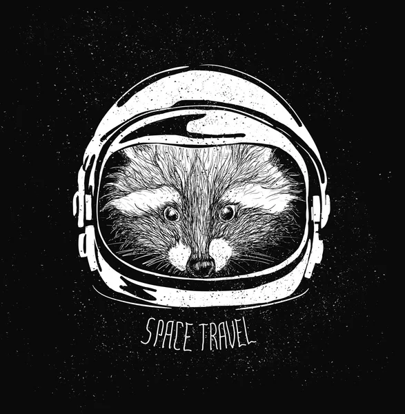 Capacete espacial racoon — Vetor de Stock