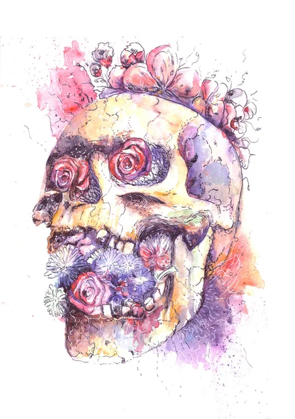 Skull and Flowers — Stock Photo, Image