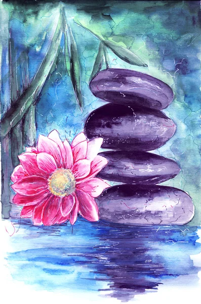 lotus and stones in water