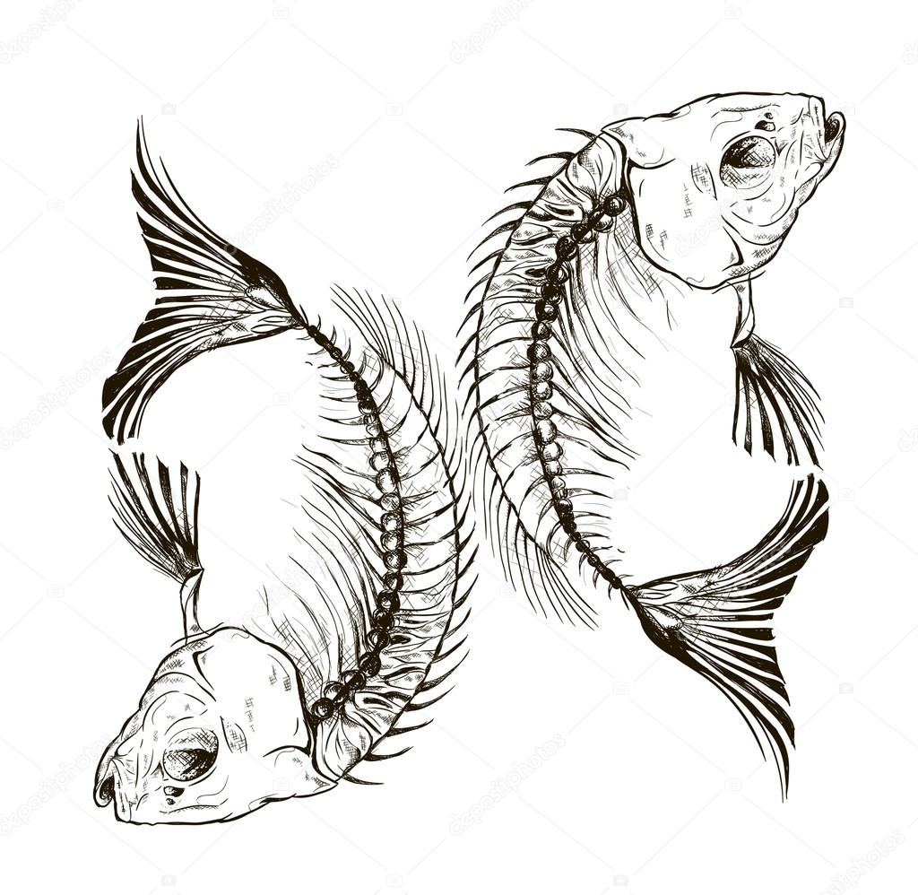 Fish skeleton Stock Vector by ©Lviktoria25 80767908